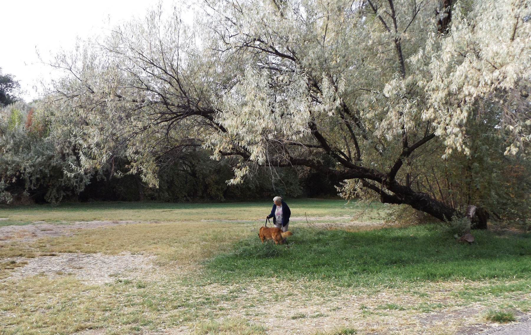 Urban Trail: Old Towne Parkway